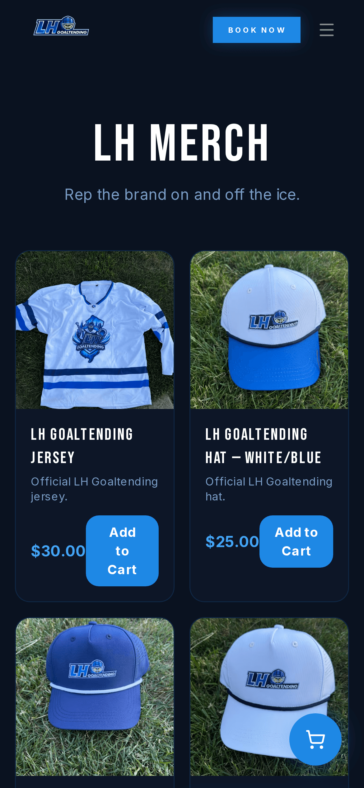 LH Goaltending — mobile approach view