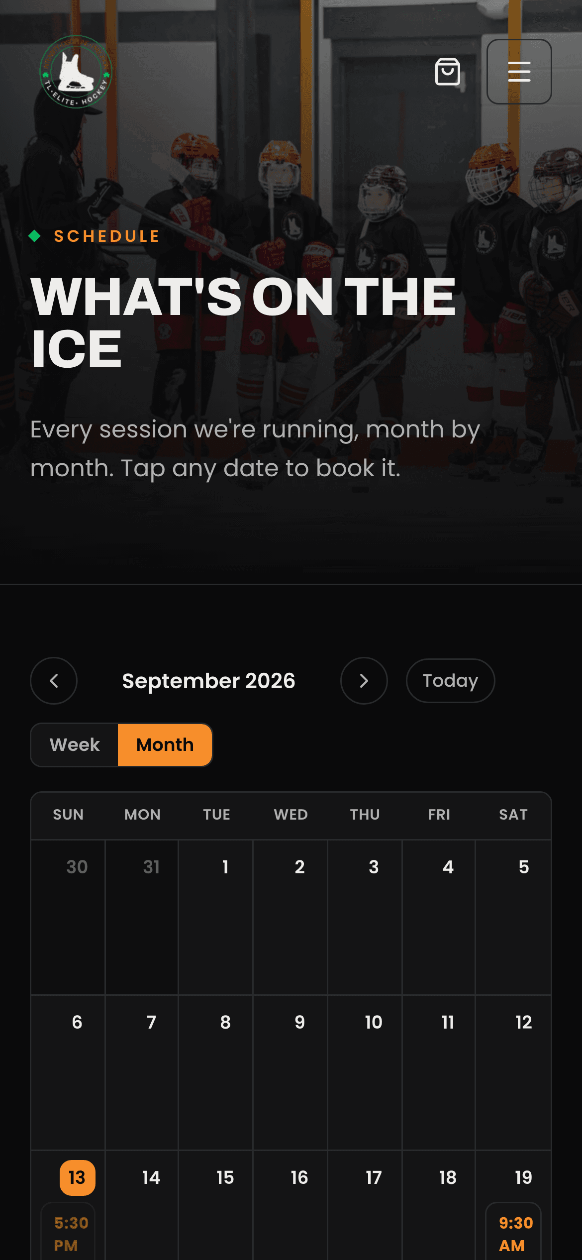 TL Elite Hockey — mobile build view